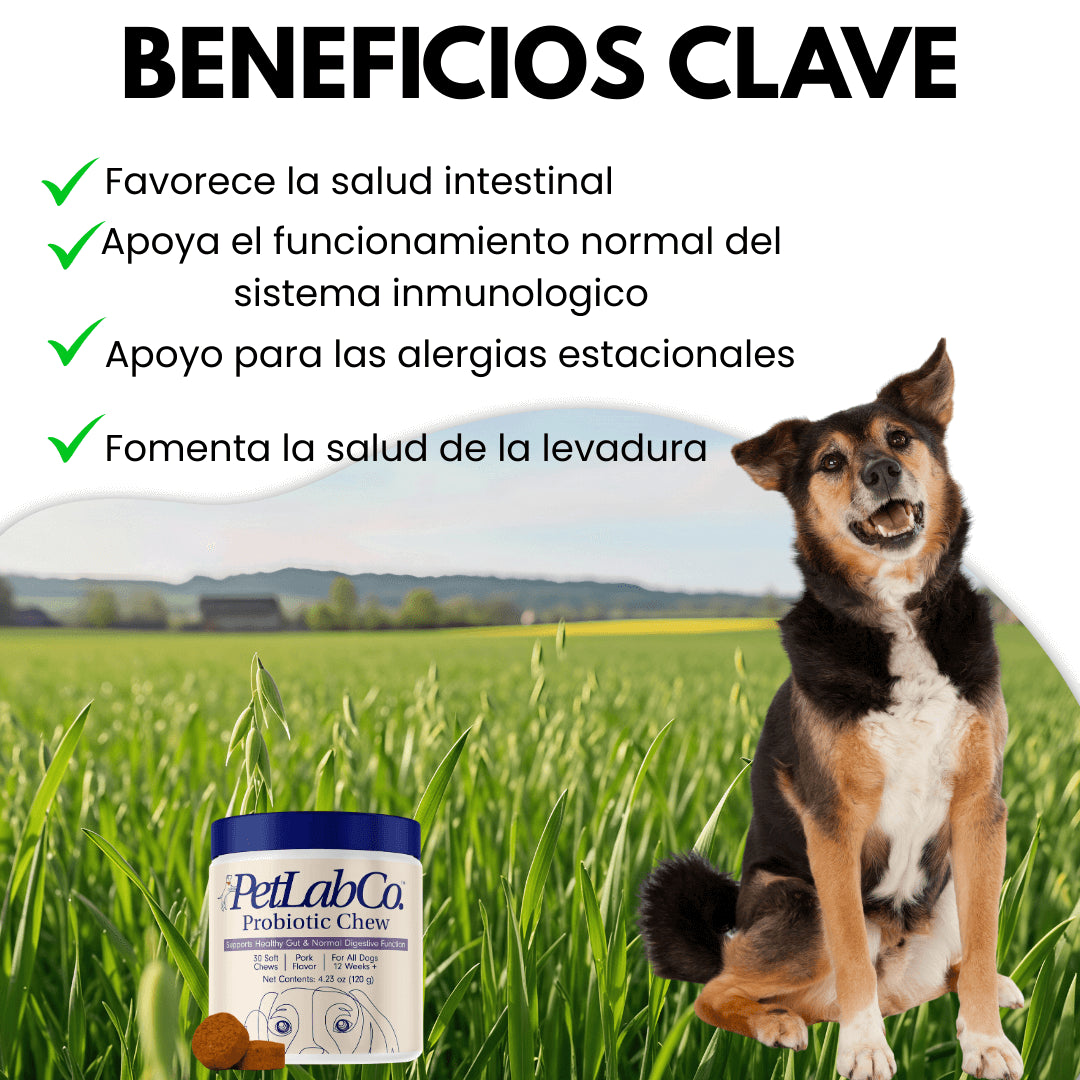Suplemento nutricional-Apoyo diario para perros con picazón y sensibilidad 🐾™