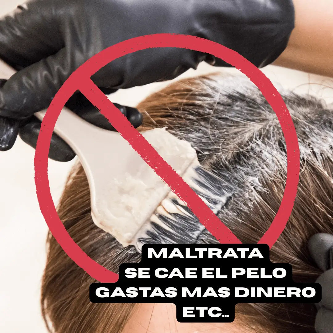 Encabezado