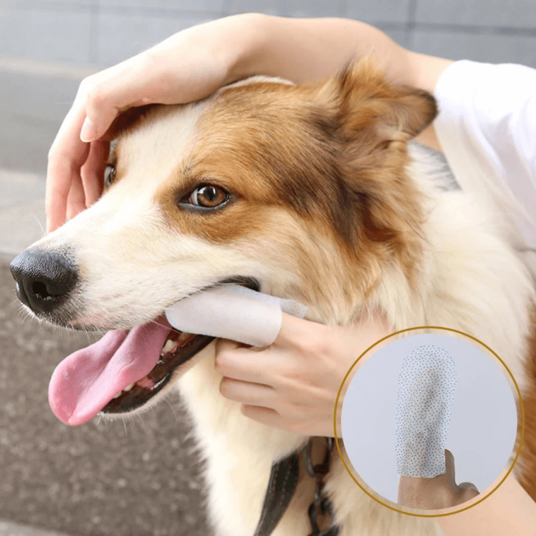 🐶🦷Toallitas que limpia los dientes de tu perro o gato ¡sin peleas ni estrés!