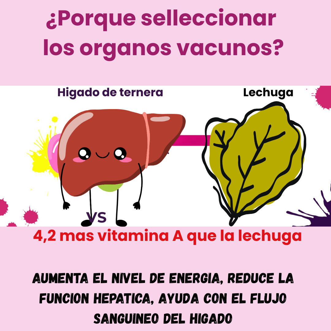 PRIMAL QUEEN™ — Nutrición profunda para el bienestar femenino natural🎁50%