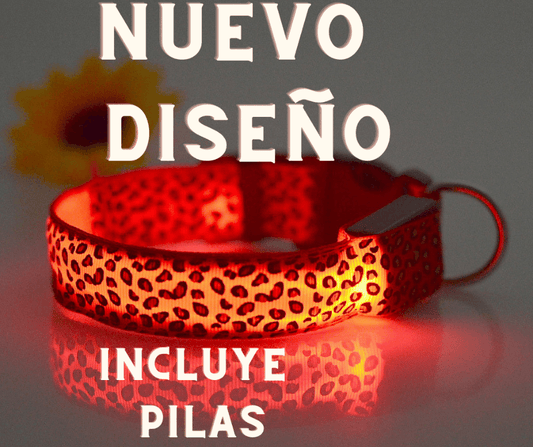 Led Collar🐕