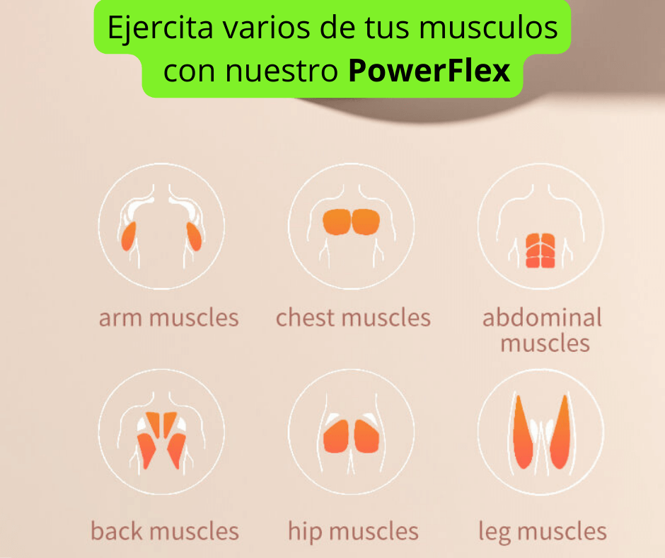🔥Power Flex🔥- Rueda de ejercicio con soporte