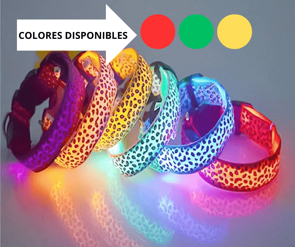 Led Collar🐕