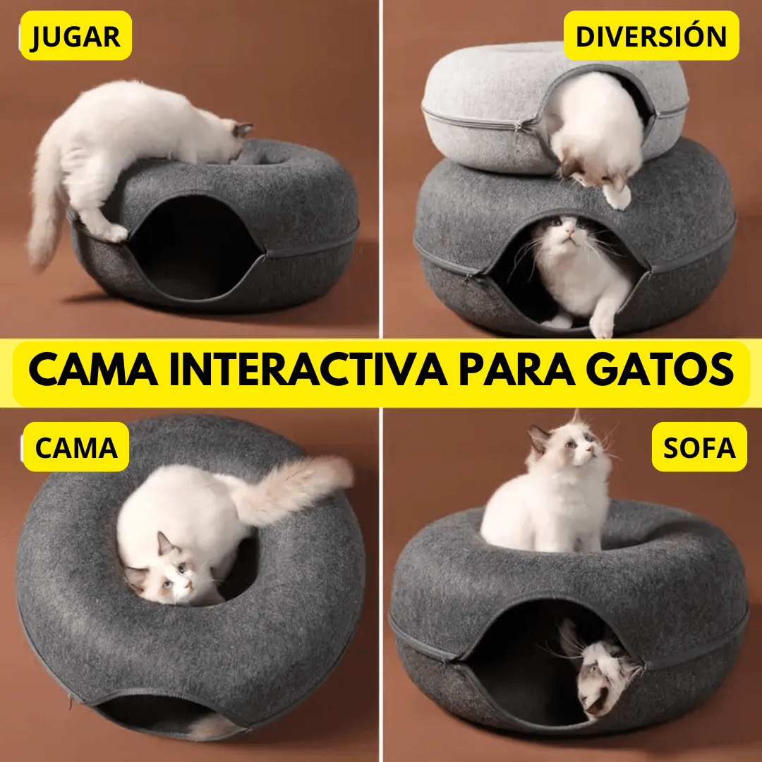 Innovadora CAMA TUNEL para gatos: resistente, cómoda y multifuncional