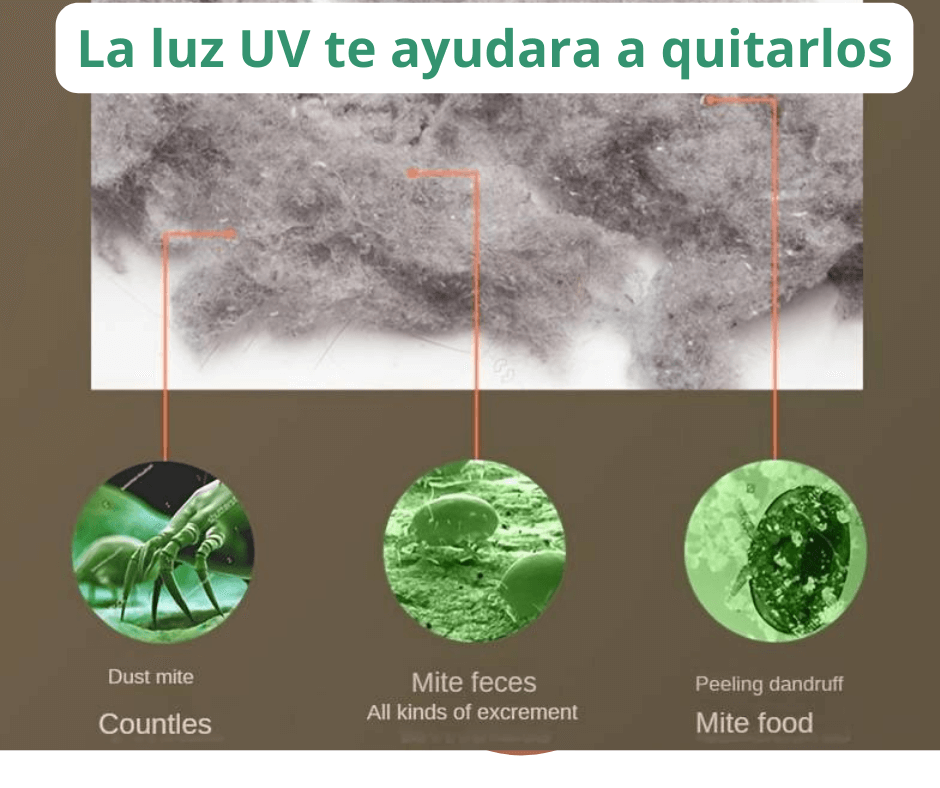 Ultra Clean 8000 ⚡️Potencia y Eficiencia⚡️