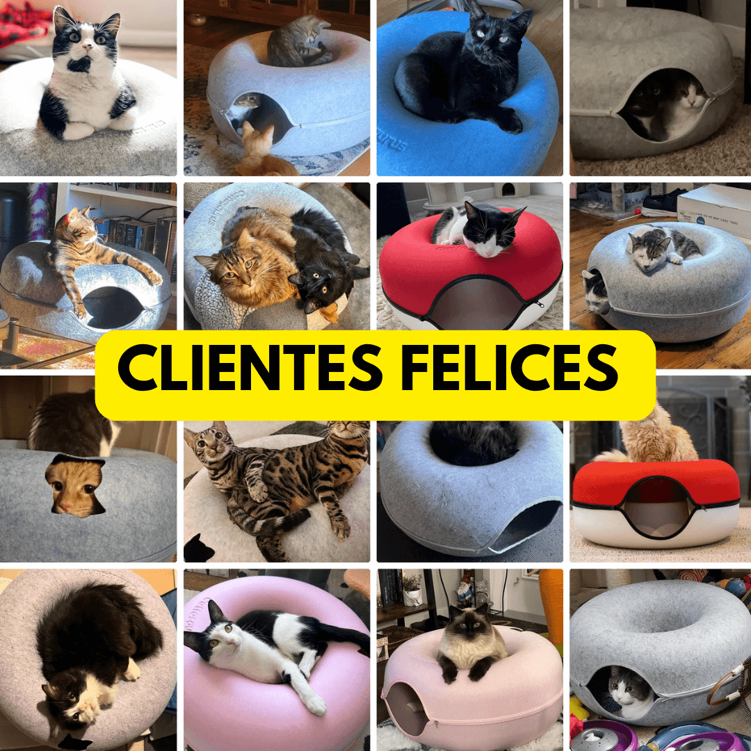 Innovadora CAMA TUNEL para gatos: resistente, cómoda y multifuncional