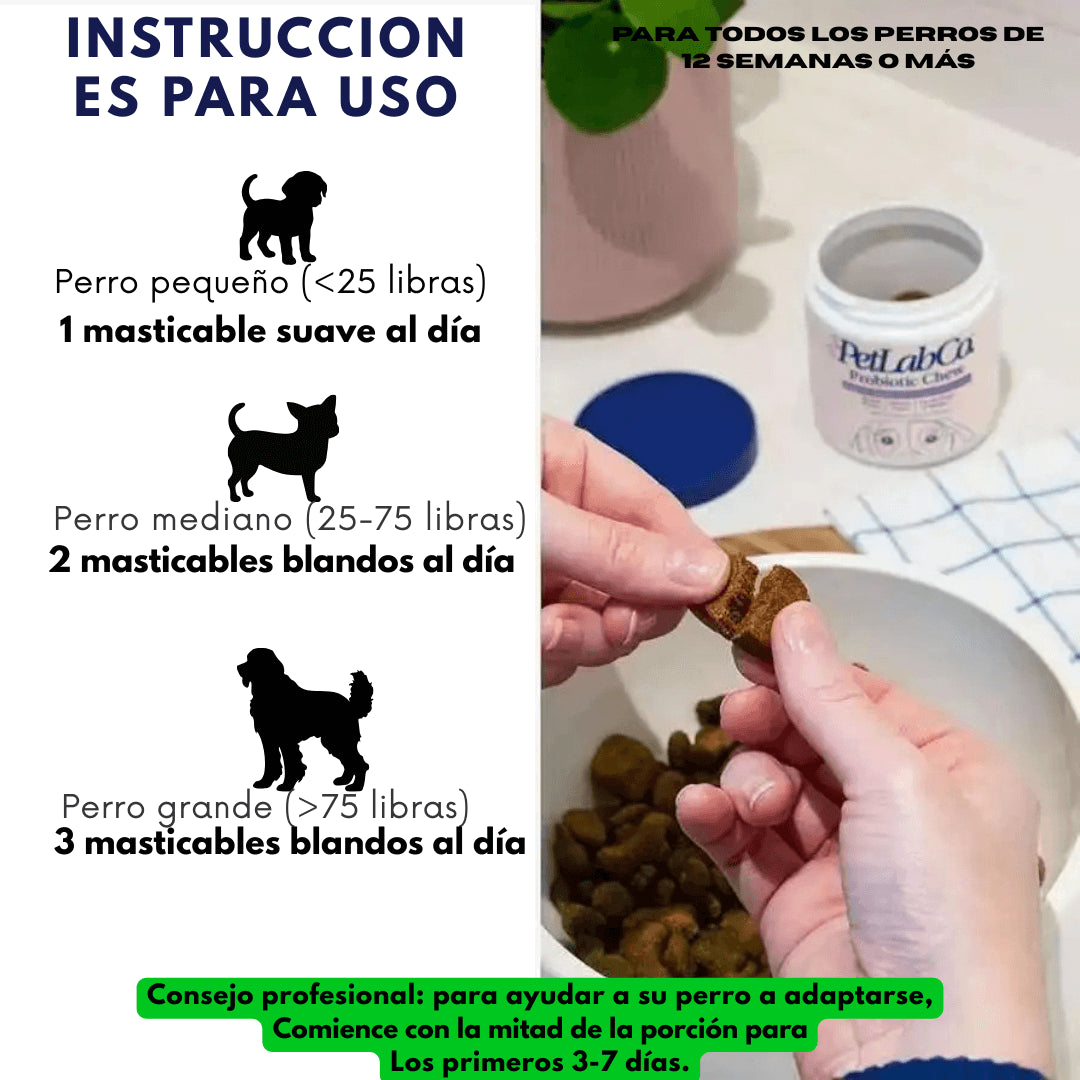 Suplemento nutricional-Apoyo diario para perros con picazón y sensibilidad 🐾™