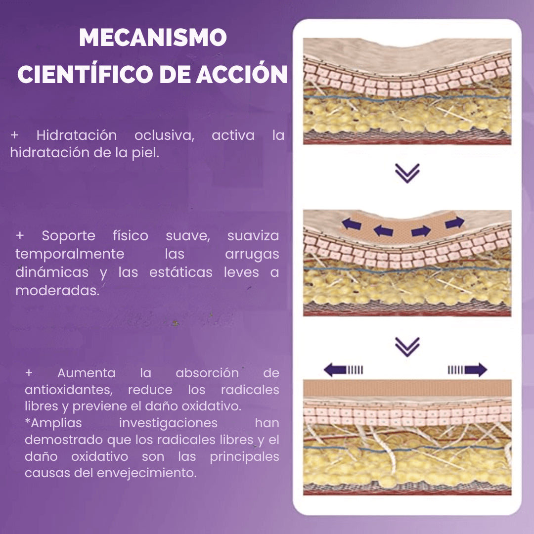 Encabezado