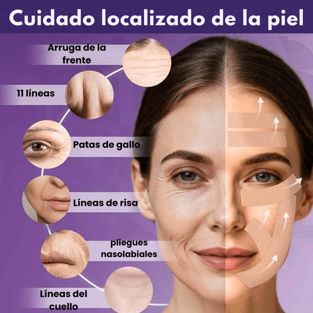 Encabezado