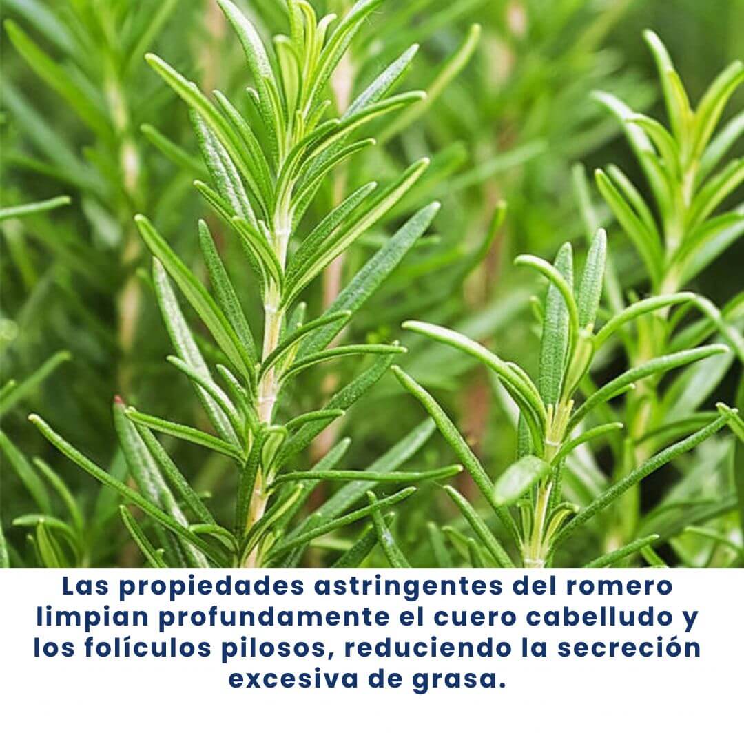 Suero en Roll-on™crecimiento del cabello-con ingredientes naturales-🎁50%DCTO