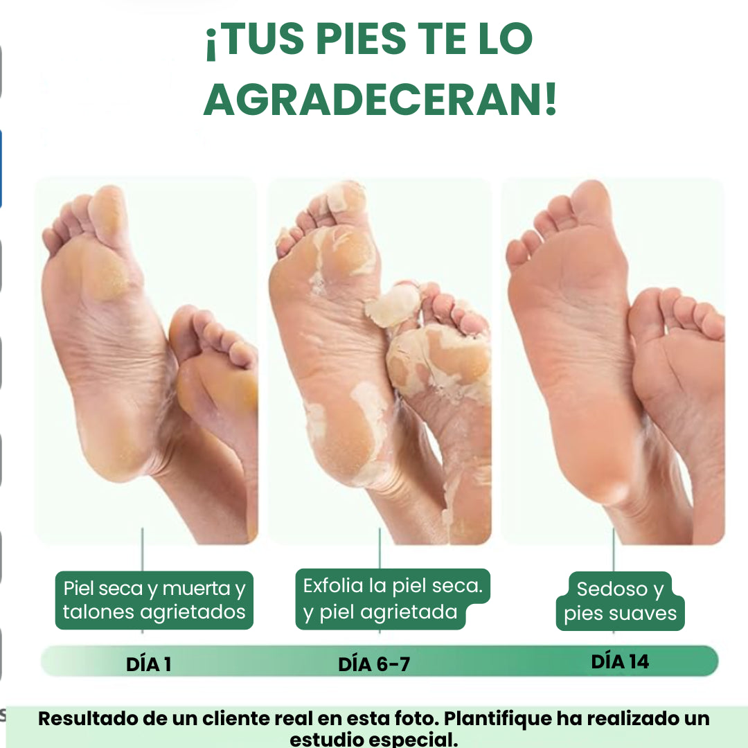 Encabezado